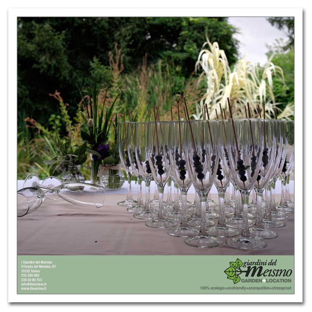 giardini meisino location torino 068